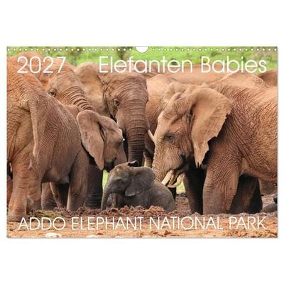 ADDO ELEPHANT NATIONAL PARK Elefanten Babies (Wandkalender 2027 DIN A3 quer), CALVENDO Monatskalender