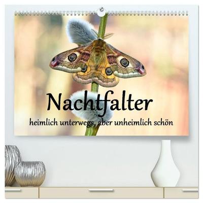 Nachtfalter - heimlich unterwegs, aber unheimlich schön (hochwertiger Premium Wandkalender 2027 DIN A2 quer), Kunstdruck in Hochglanz