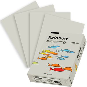 Papyrus Kopierpapier Rainbow 88376530, A4, 230 g/qm, hellgrau, 125 Blatt