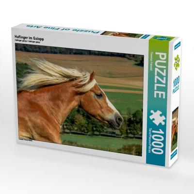 CALVENDO Puzzle Haflinger im Galopp | 1000 Teile Lege-Größe 64x48cm Foto-Puzzle für glückliche Stunden