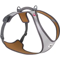 Curli Glow Belka Harness Gray XL (XL, Hund, Allgemein, Spazieren), Halsband + Leine
