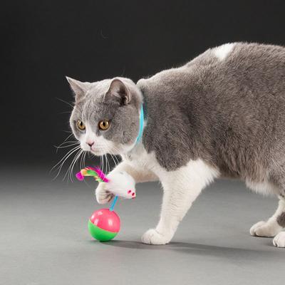 Friendly Fresh Finds Interactive Plush Mouse Tumbler Ball For Cats Fun Sound Toy, Pet Educational Activity Interactive Plush Mouse Tumbler Ball For Cats Fun Sound Toy, Pet Educational Activity