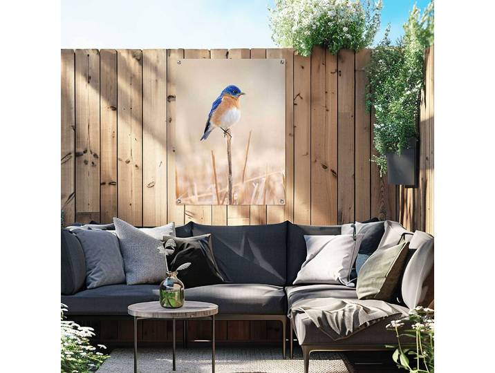 Poster extérieur Oiseau bleu PVC Bleu/Bleu 60 x 80 x 0cm