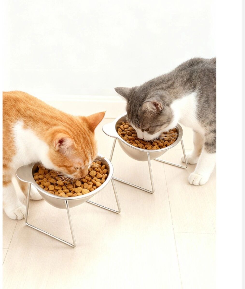 INF Bol en acier inoxydable pour chat et chien - Relevé anti-basculant détachable, protection du cou, argent