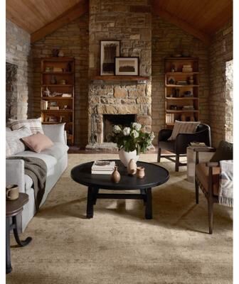 Alexander Home Willows Antique Low Pile Area Rug