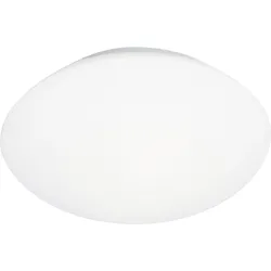 Brilliant  Djerba  Wand-  und  Deckenleuchte  26cm  weiß