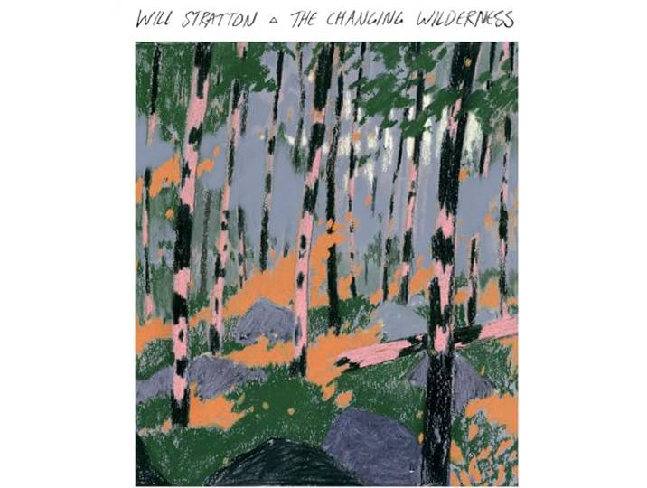 The Changing Wilderness