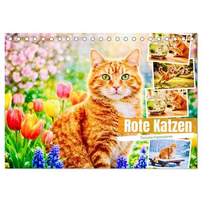 Rote Katzen (Tischkalender 2027 DIN A5 quer), CALVENDO Monatskalender