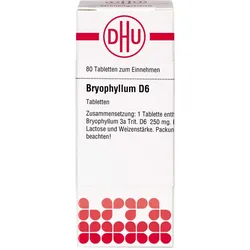 Bryophyllum D 6 80 ST