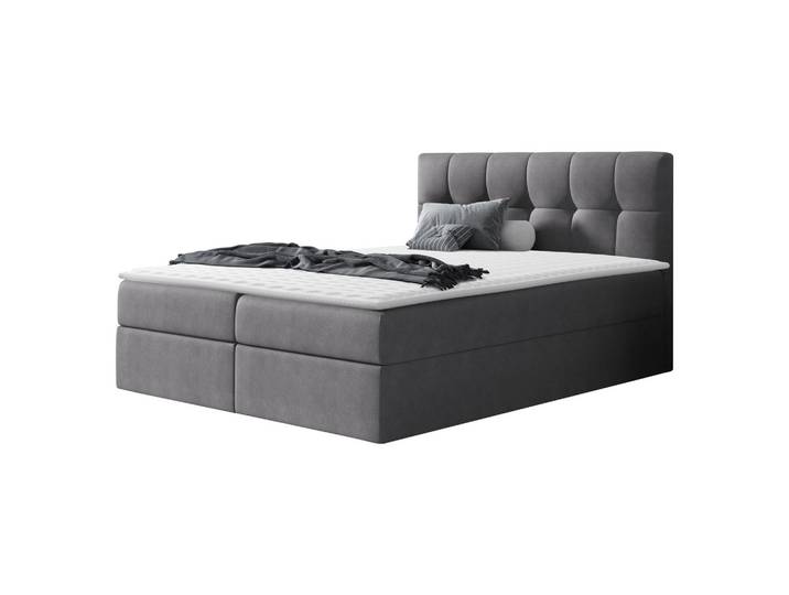 BOXBETT Rico - H3