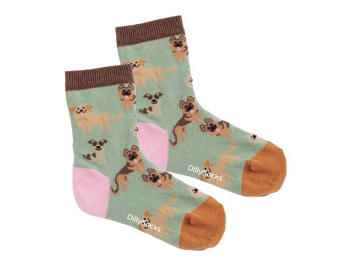 Kindersocken Doggy Dog, Dillysocks, beige/türkis, BiobaumwolleBiobaumwolle/ElastanBiobaumwolle/Elastan/PolyacrylBiobaumwolle/Elastan/Polyacryl/Polyamid (PA)