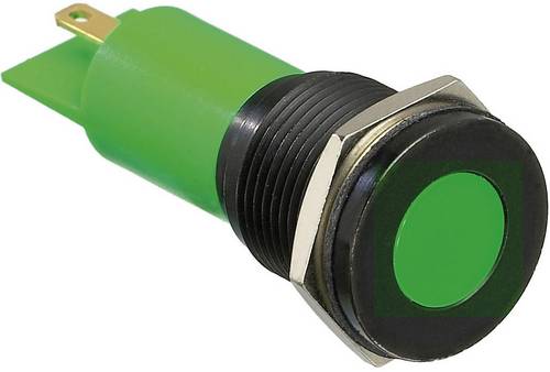 APEM Q16F1BXXG24E LED-Signalleuchte Grün 24 V/DC