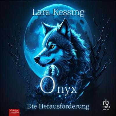 Onyx - Die Herausforderung - Lara Kessing, Audio, 9783987857249