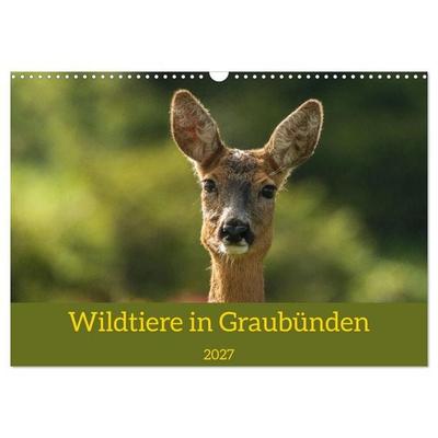 Wildtiere in Graubünden (Wandkalender 2027 DIN A3 quer), CALVENDO Monatskalender