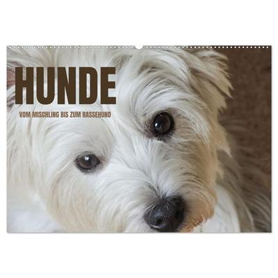 Hunde - vom Mischling bis zum Rassehund (Wandkalender 2027 DIN A2 quer), CALVENDO Monatskalender