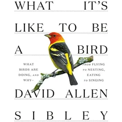 What It/'s Like to Be a Bird: From Flying to Nesting, Eating to Singing--What Birds Are Doing, and W, Ratgeber von David Allen Sibley