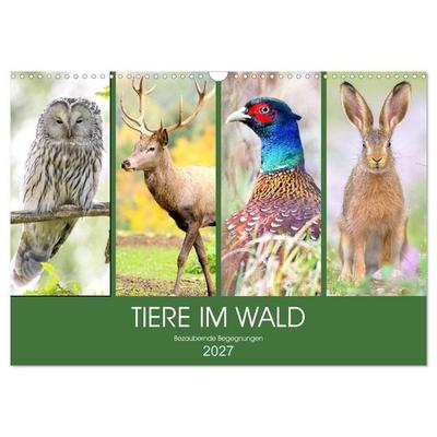 Tiere im Wald. Bezaubernde Begegnungen (Wandkalender 2027 DIN A3 quer), CALVENDO Monatskalender