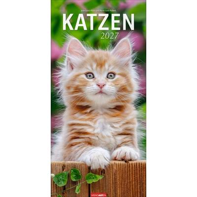 Katzen Kalender 2027