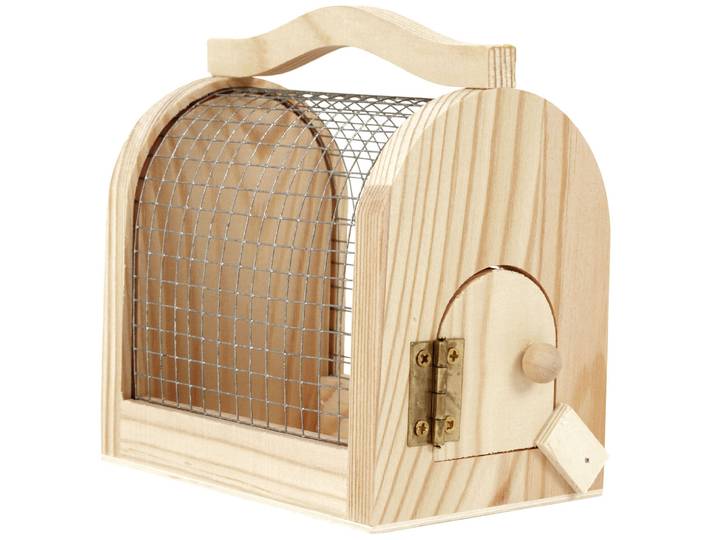 Insektenkasten, Naturbox für Kinder zum Beobachten, Holz, 11 x 7,5 x 10 cm
