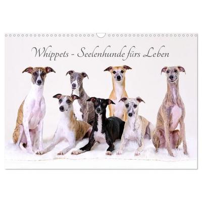 Whippets - Seelenhunde fürs Leben (Wandkalender 2027 DIN A3 quer), CALVENDO Monatskalender
