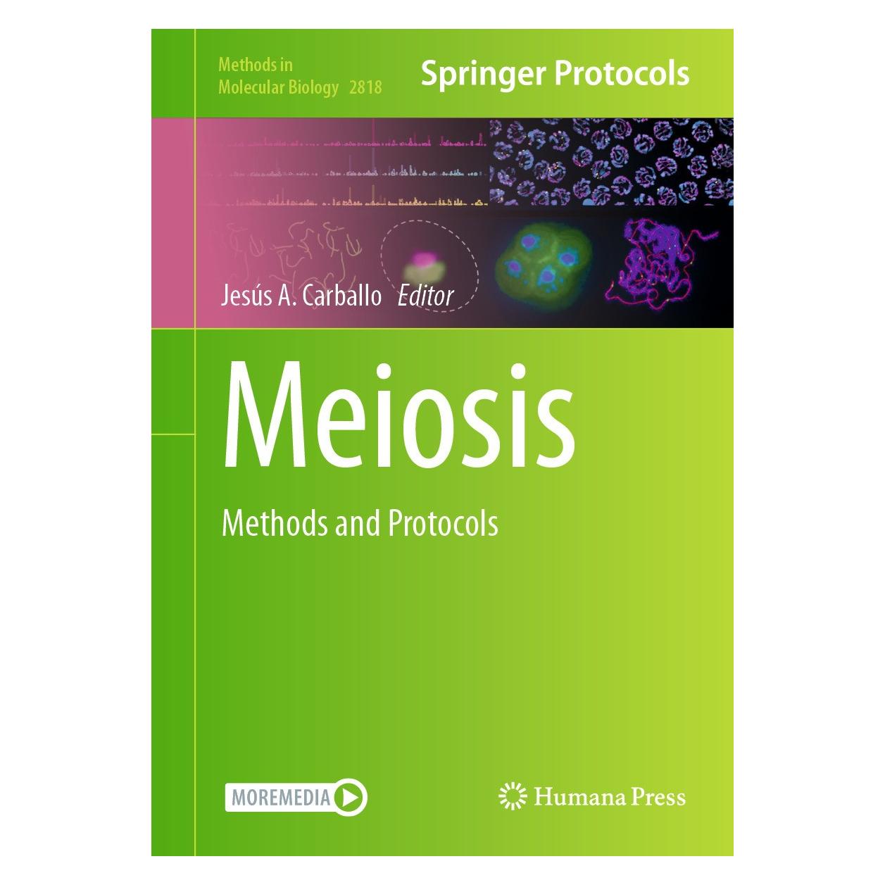 Springer Meiosis (Englisch, Hardcover, Jesús A Carballo) (9781071639054)