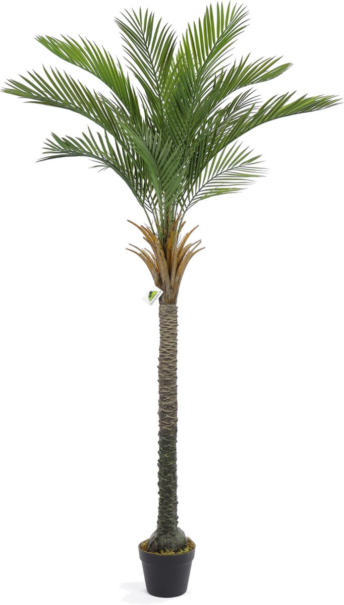 Kunst Palmboom California 175 cm