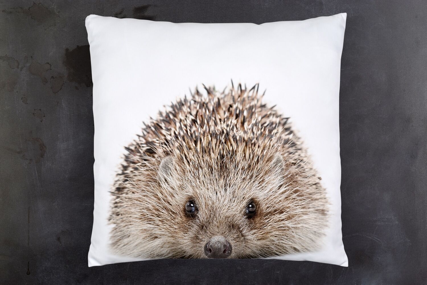 Dekokissen QUEENCE "Igel", weiss (weiß, bedruckt), B:40cm H:1cm L:40cm, Polyester, Dekokissen_Sitzkissen_Kissenhüllen, Dekokissen, Kissenhülle mit HD Premium Druck, geruchsneutral, 40x40cm weiß, bedruckt B/L: 40cm x 40cm, 1 Stk.