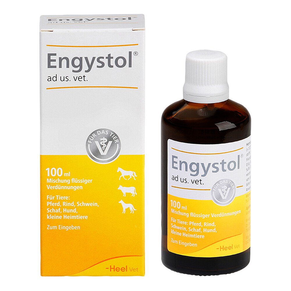 Biologische Heilmittel Heel GmbH Engystol ad us. vet. Tropfen 02858744