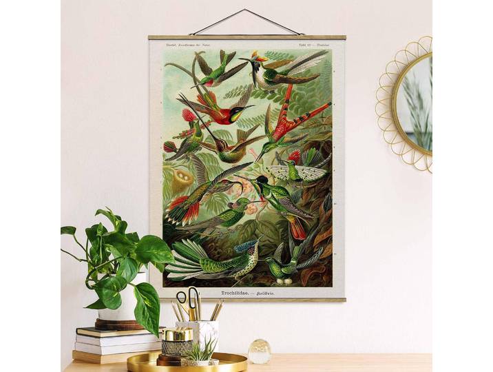 Stoffbild Vintage Lehrtafel Kolibris Webstoff Multicolor 80 x 107cm