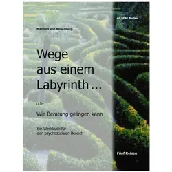 Wege aus einem Labyrinth, Sachbücher von Manfred von Bebenburg