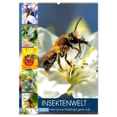 INSEKTENWELT - Heimische Nützlinge ganz nah (Wandkalender 2027 DIN A2 hoch), CALVENDO Monatskalender