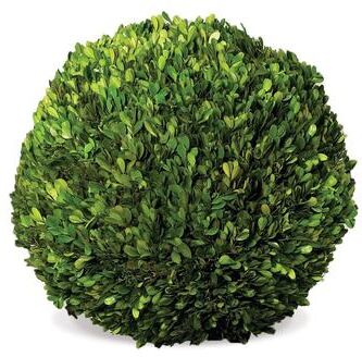 Porch & Petal "Boxwood Ball 16"""