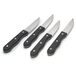 Broil King Steak Messer 4er Set