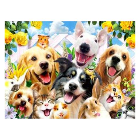 Pracht Diamond Painting Tierisches Selfie 25 x 35 cm (6037-40121)