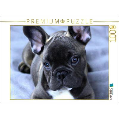 CALVENDO Puzzle Französische Bulldogge | 1000 Teile Lege-Größe 64x48cm Foto-Puzzle für glückliche Stunden
