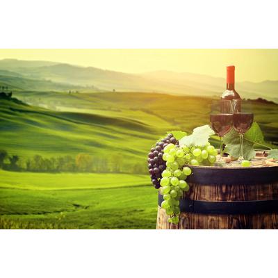 Fototapete PAPERMOON "WEINBAU-WEIN TRAUBEN FELD WIESE WEIN SONNE LANDSCHAFT", bunt, B:5m L:2,8m, Vlies, Tapeten