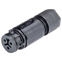 Wieland Electric 41.031.3053.1 Steckverbinder