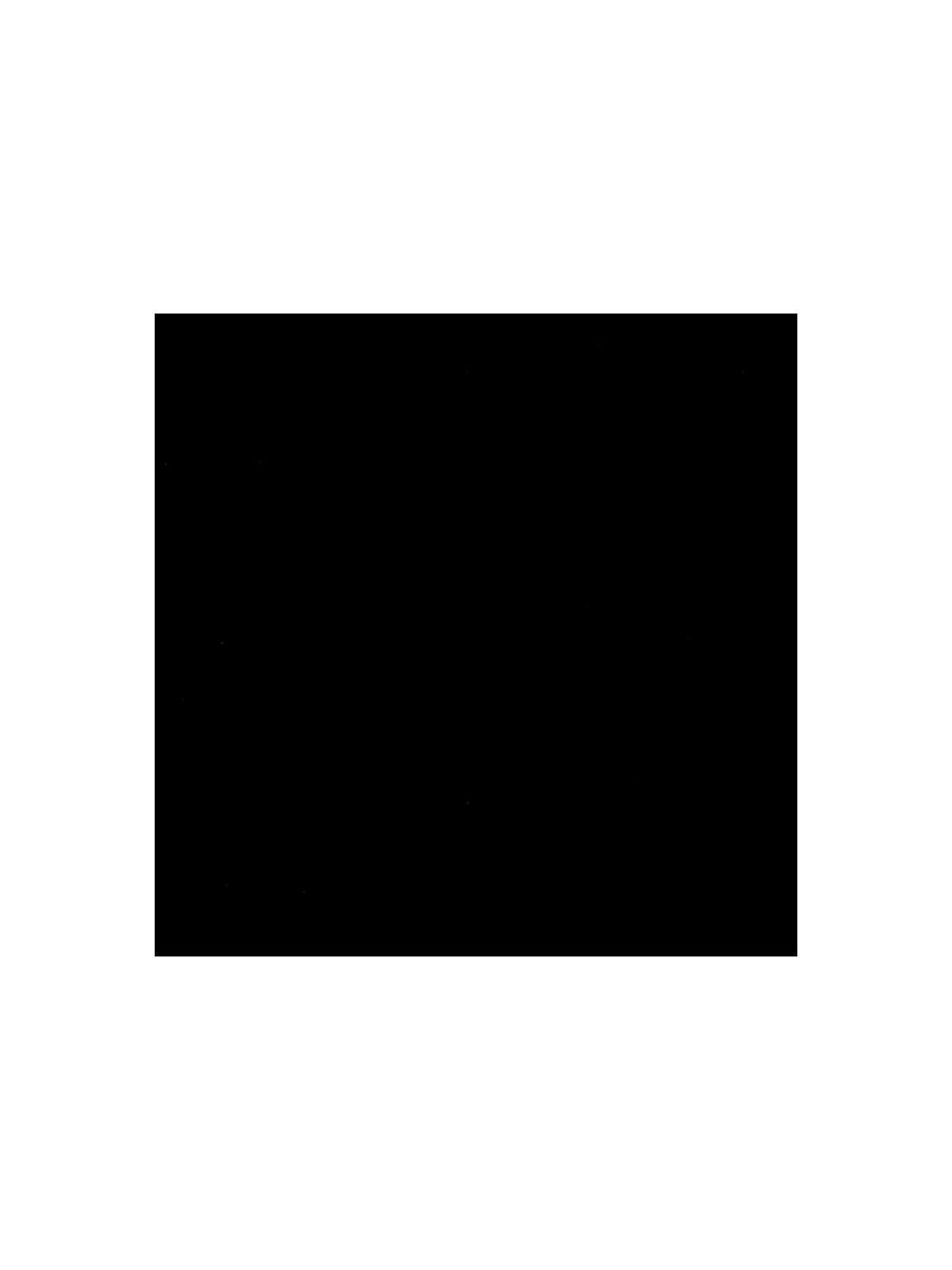 GBC HiGloss Deckblatt A4 250 g/m² Schwarz