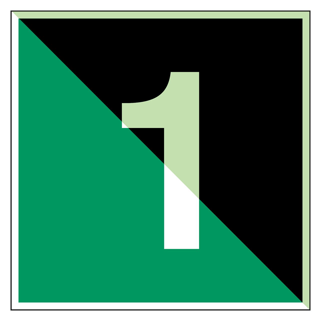 Brady Glow-in-the-dark safety sign (E/Y001-PP-PHOLUMB-050X150/1-B)
