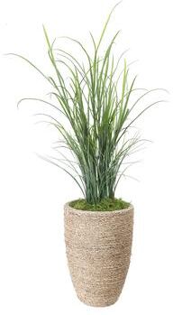 Creative Labs Grass in Rope Planter