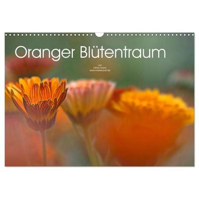 Oranger Blütentraum (Wandkalender 2027 DIN A3 quer), CALVENDO Monatskalender