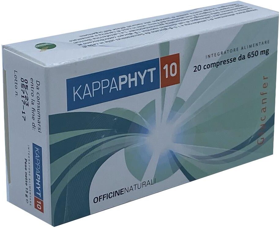 OFFICINE NATURALI Srl ONCOPHYT 10 20 COMPRESSE DA 650 MG