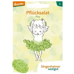Pflücksalat - Piro