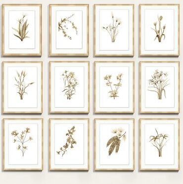 "Fragile Blossoms Art - Print II, 24"" x 19"" - Ballard Designs"