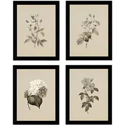 POSTER Set mit 4 Botanischen Stils Rosa weich Jahrgang Hintergrund A3 Rahmenlos