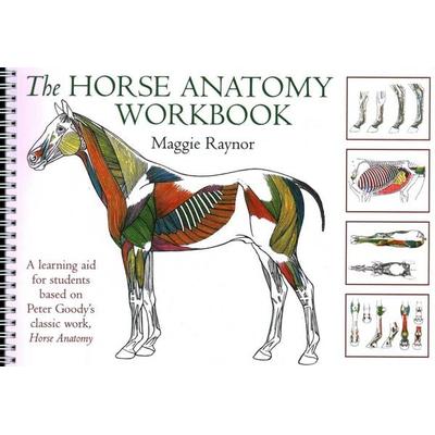 Horse Anatomy Workbook, Taschenbuch von Maggie Raynor, Wiley, 978-0-85131-905-6