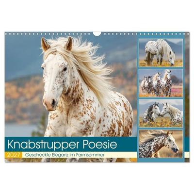 Knabstrupper Poesie. Gescheckte Eleganz im Farmsommer (Wandkalender 2027 DIN A3 quer), CALVENDO Monatskalender