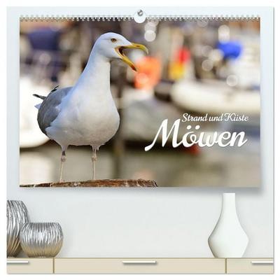 Strand und Küste - Möwen (hochwertiger Premium Wandkalender 2026 DIN A2 quer), Kunstdruck in Hochglanz