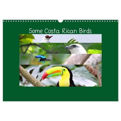 Some Costa Rican Birds (Wall Calendar 2026 DIN A3 landscape), CALVENDO 12 Month Wall Calendar