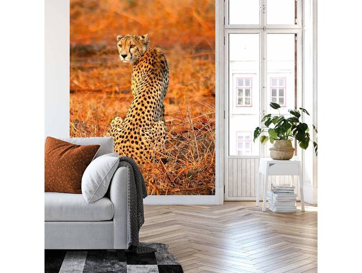 Fototapete Leopard Safari 192cm